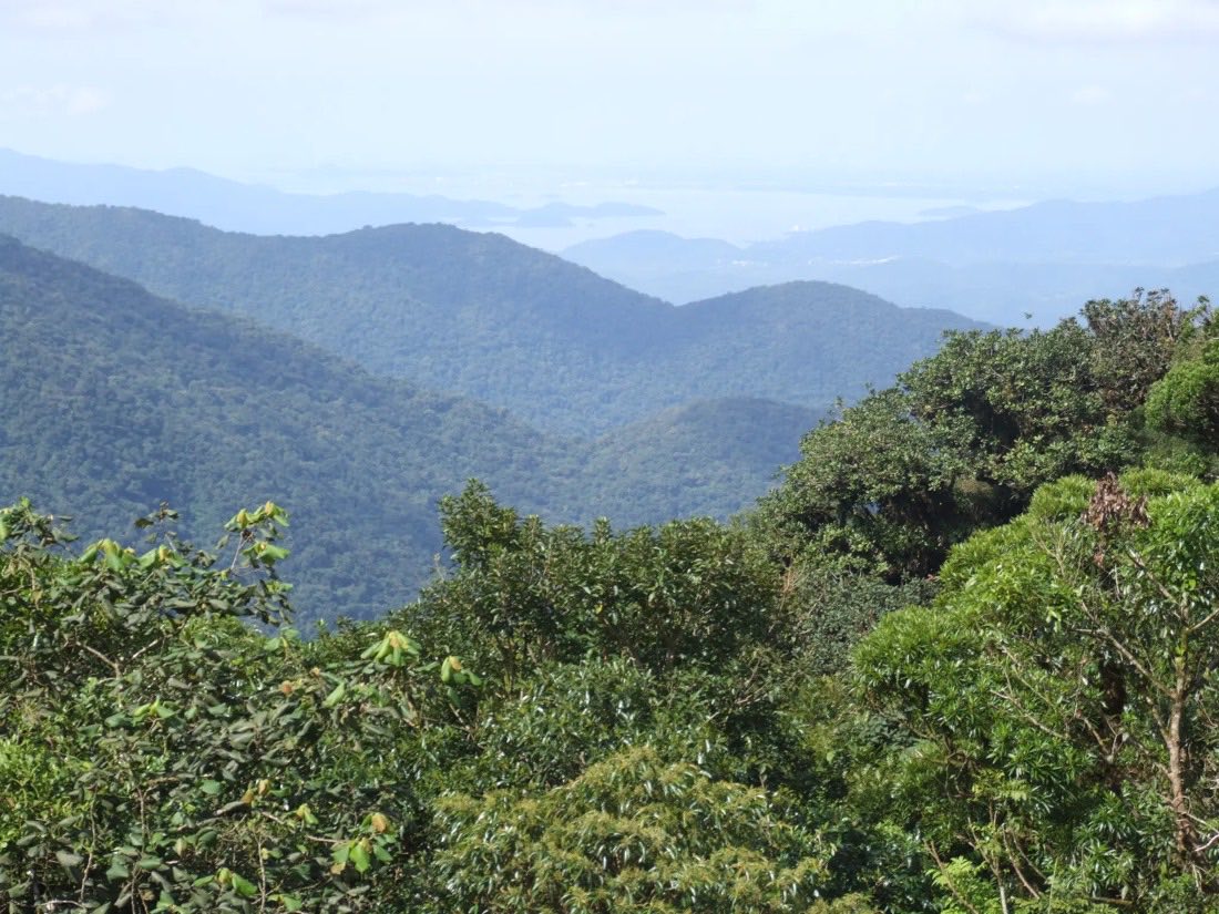 Serra coberta de Mata Atlântica